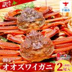 訳ありオオズワイガニ 800g詰 道産品