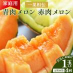 一果相伝 青肉メロン 赤肉メロン 1玉
