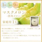 メロン堪能定期便 Wtn-0056