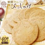 栗焼せんべい びっしゃげ 5枚入り×8