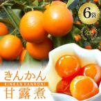 完熟 きんかん 甘露煮 170g×6袋