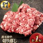 黒毛和牛 切り落とし 500g×2