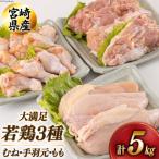 若鶏 むね 手羽元 もも 合計5kg