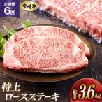 牛肉 ロース 6回 定期便 宮崎牛 特上 ステーキ 300g×2枚×6回