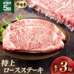 牛肉 ロース 5回 定期便 宮崎牛 特上 ステーキ 300g×2枚×5回