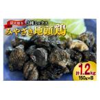 みやざき地頭鶏 3種ミックス 炭火焼 真空パック 150g×8袋