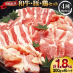 肉 セット 産牛 豚 鶏 バーべキューセット 計1.8kg