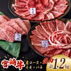 牛肉 焼肉 宮崎牛 ウデ モモ バラ 焼肉用 セット