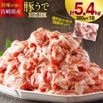 豚肉 小分け 切り落とし 300g×18袋