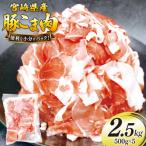 豚肉 こま切れ 豚こま肉 500g