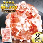 豚肉 こま切れ 豚こま肉 500g