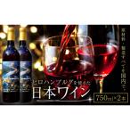 日本ワイン 750ml