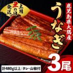 ふるさと納税 肝付町 《土用の丑の日までに発送!》うなぎ蒲焼・大(有頭)(3尾・計480g以上、タレ、山椒付　B57007