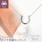 Pt900 ダイヤ馬蹄ネックレス CN-293