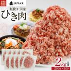 JAPAN X ひき肉 200g×10