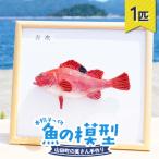 手作り 本物そっくり魚の模型 1点