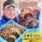 三陸山田産 ホタテ 大 10枚セット ほたて