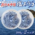 釣りエサ 塩エラコ 100g×2パック