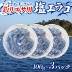 釣りエサ 塩エラコ 100g×3パック