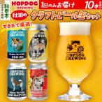 クラフトビール缶 10本