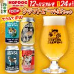 定期便12ヶ月 クラフトビール缶 毎月24本