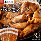 JAPAN X 味付ホルモン 300g×10