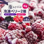 冷凍ベリー2種セット そらいろ Berry