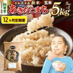 あきたこまち 一等米 5kg
