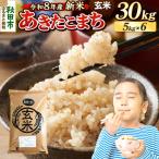 あきたこまち 30kg