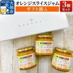 オレンジスライスジャム 3個セット 22_rsm-010301