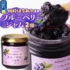 ブルーベリージャム 210g×2個