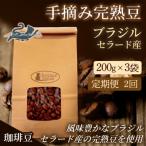 No.3274 珈琲豆 ゲイシャナチュラル