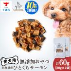ひとくちサーモン 30g×2袋