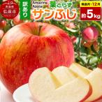 りんご 葉とらずサンふじ 約5kg