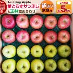 ふるさと納税 弘前市 りんご 葉とらずサンふじ&王林 詰め合わせ【訳あり】家庭用 約5kg|24_cmn-070101d