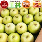 りんご 王林 約5kg