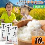 米 サキホコレ 米どころ 令和7年産 10kg