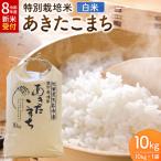 令和8年産 米 特別栽培米 あきたこまち 10kg×1袋