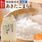 令和8年産 3ヶ月米 特別栽培米 あきたこまち
