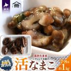 浦河産 活なまこ 1kg※不在日 日付指定対応不可※