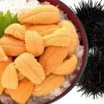 ふるさと納税 根室市 ムラサキウニ塩水パック70g〜80g×2P A-24001