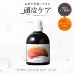 VoluMe Spa scalp mask