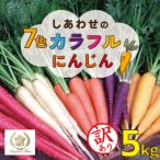 fu.... налог . юг город ( предварительный заказ прием )[ время ограничено ]( есть перевод ) радужный красочный морковь 5kg колокольчик . сельское хозяйство . сельское хозяйство дом прямой H022-017
