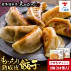 餃子天のびろく オリジナル餃子12粒入 2箱
