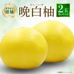 八代特産 晩白柚 秀L 2玉