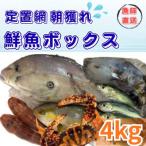 133002 定置網朝どれ鮮魚ボックス4kg