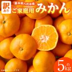 みかん 約5kg