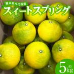 スイートスプリング 約5kg