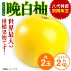 晩白柚 2L