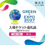 GREEN×EXPO 入場チケット 1日券